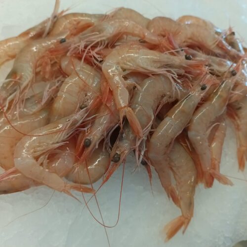 Crevettes - le kg